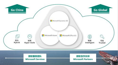 微軟智能商業(yè)云中國區(qū)戰(zhàn)略解析 Dynamics 365 發(fā)布會獨家揭秘與軟件開發(fā)新機遇
